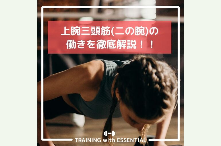 二の腕