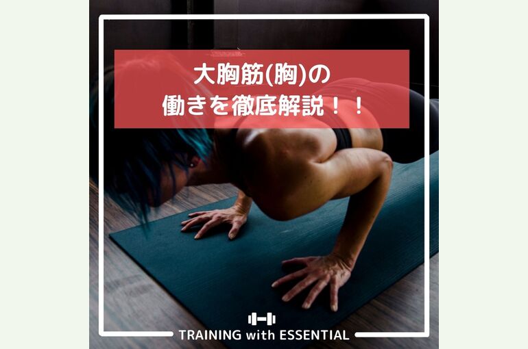 大胸筋