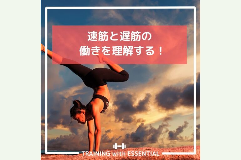 ブログ