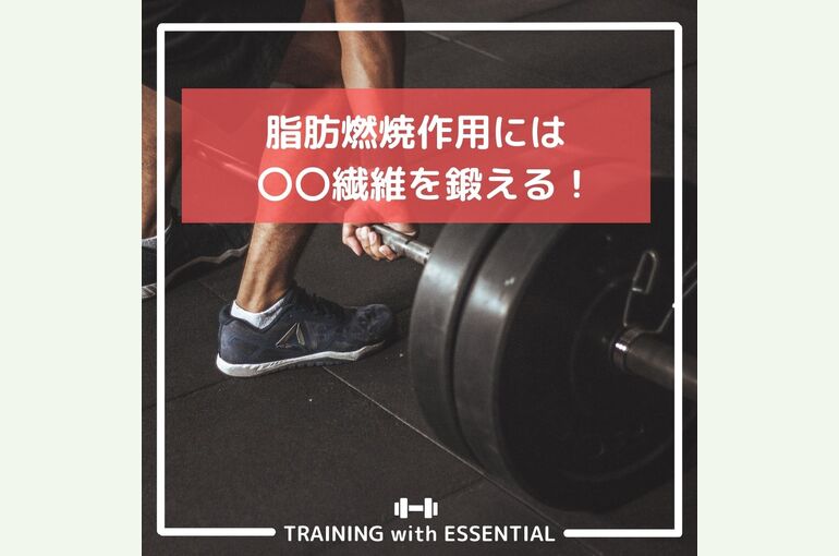 ブログ