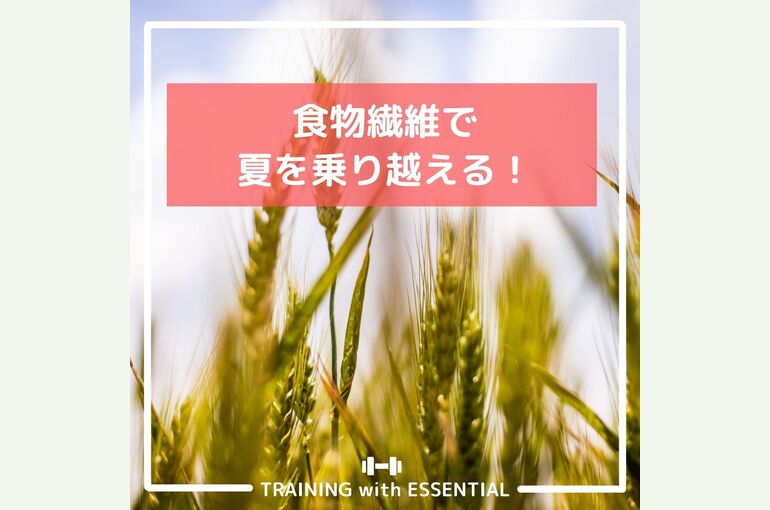 ブログ