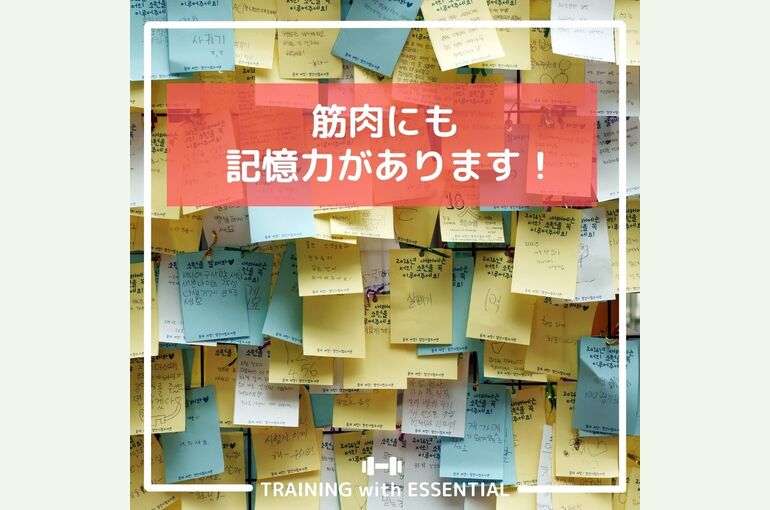 ブログ